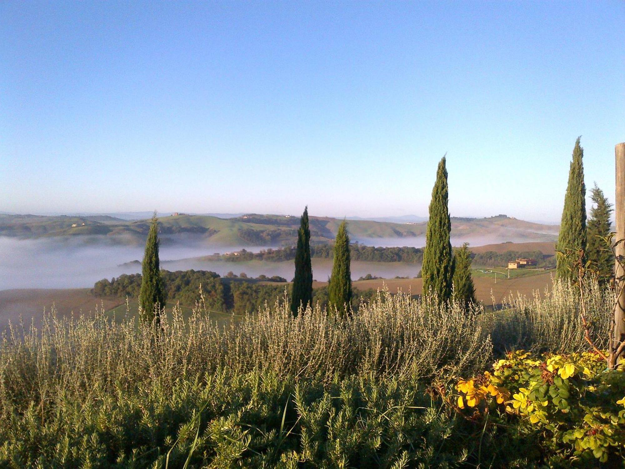 Podere Fornaci อัสเชียโน ภายนอก รูปภาพ