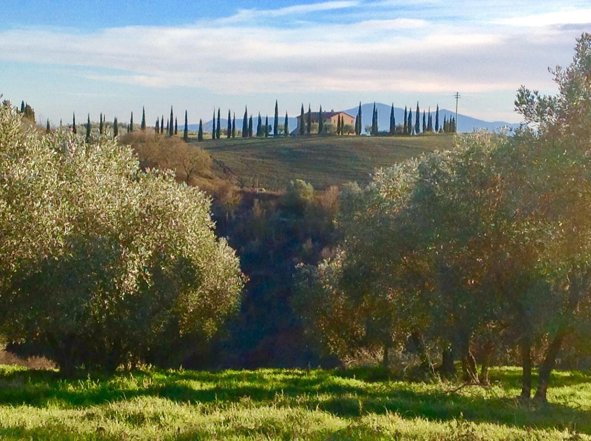 Podere Fornaci อัสเชียโน ภายนอก รูปภาพ